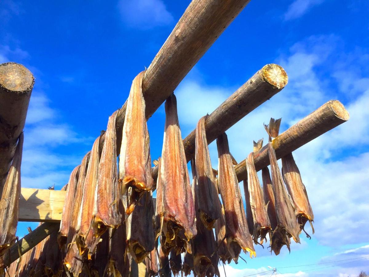 Eggum Fishermans Cabin Bostad Dış mekan fotoğraf